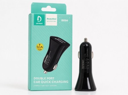 DZ06